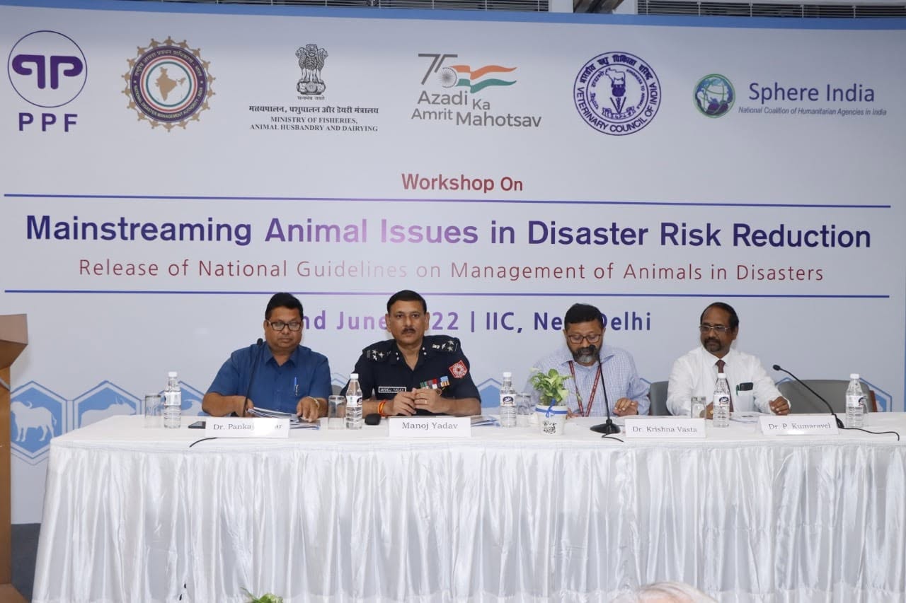 Centre for Disaster Risk Reduction and Management detail 2